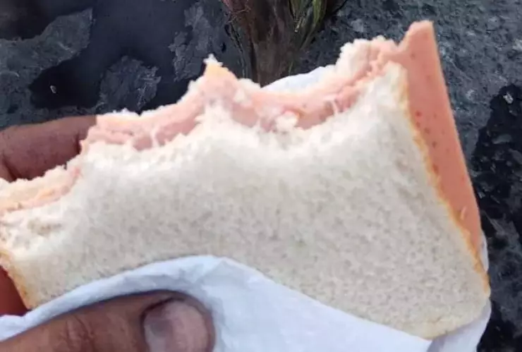 bombero comiendo un sándwich.jpg