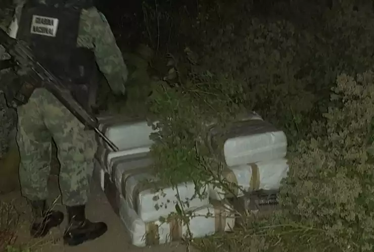 mariguana abandonada.jpg