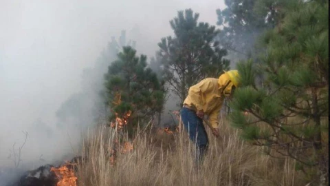 incendio zacatlán