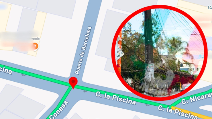 árbol caído León hoy