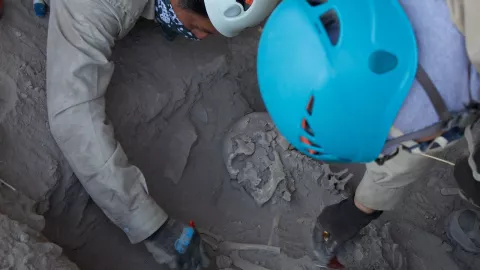 Osamenta que, al parecer, corresponde a un individuo “janambre” INAH .jpeg