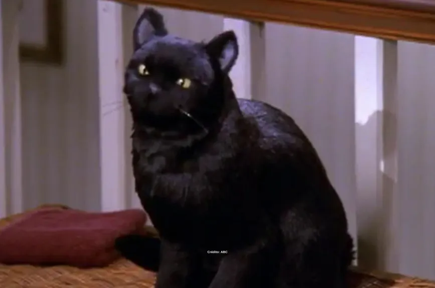salem-saberhagen-sabrina-la-bruja-adolescente