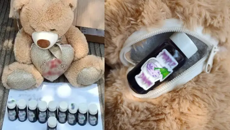 Aseguran oso de peluche lleno de drogas que iba de Sinaloa a Tijuana