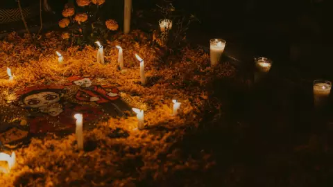 dia muertos 2024 boca del rio.