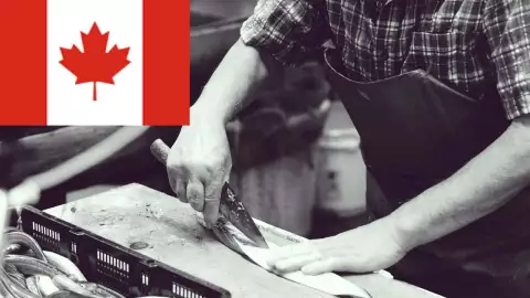 Buscan mexicanos para trabajar en Canadá, no piden inglés