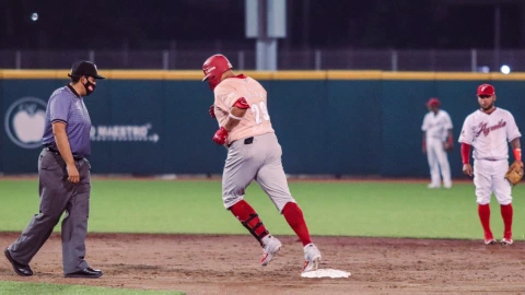 Diablos Rojos del México Series de Zona LMB