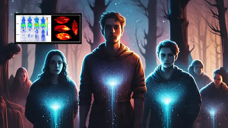 Los seres vivos tienen una luz que se apaga al morir: Científicos