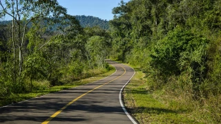 EN VIVO: ¿Qué pasa en la autopista Guadalajara-Puerto Vallarta hoy? Tráfico este 16 de noviembre de 2025