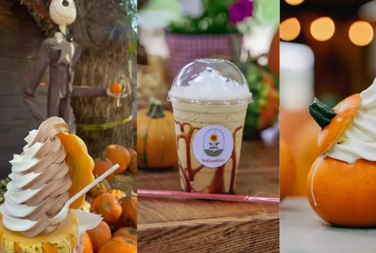 CAFETERÍA EN LA RUTA DEL MAÍZ 2024