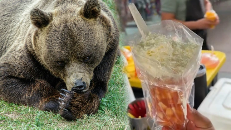 Caldo de Oso: qué es y cómo se prepara