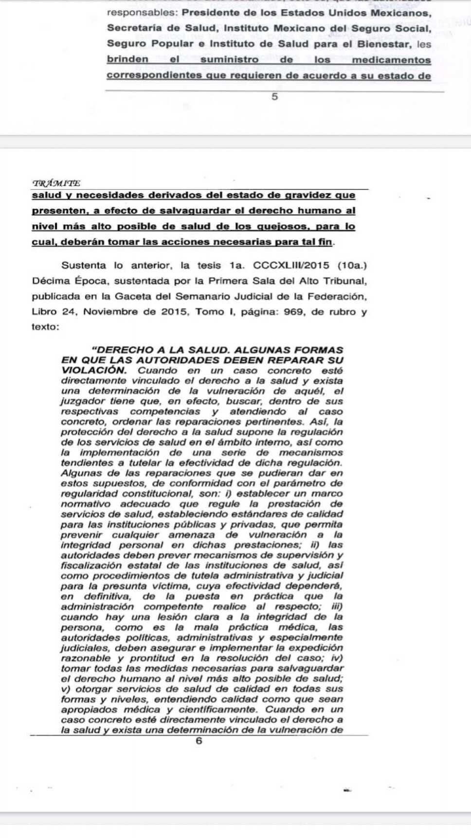 amparo medicamentos.jpg