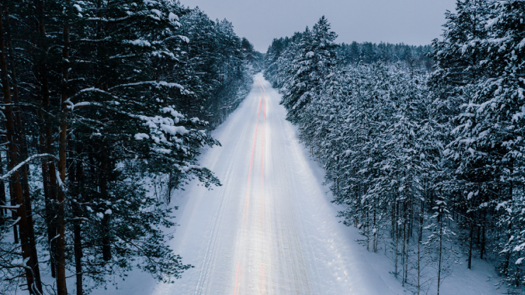 NEVADAS CHIHUAHUA.jpg