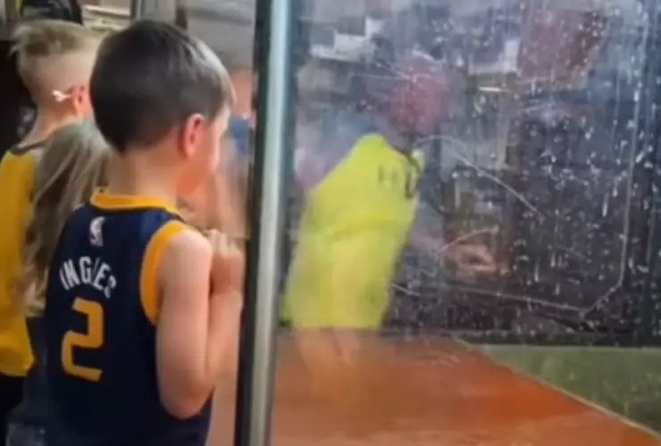 VIDEO: Caimán ataca a su entrenadora (imágenes sensibles)
