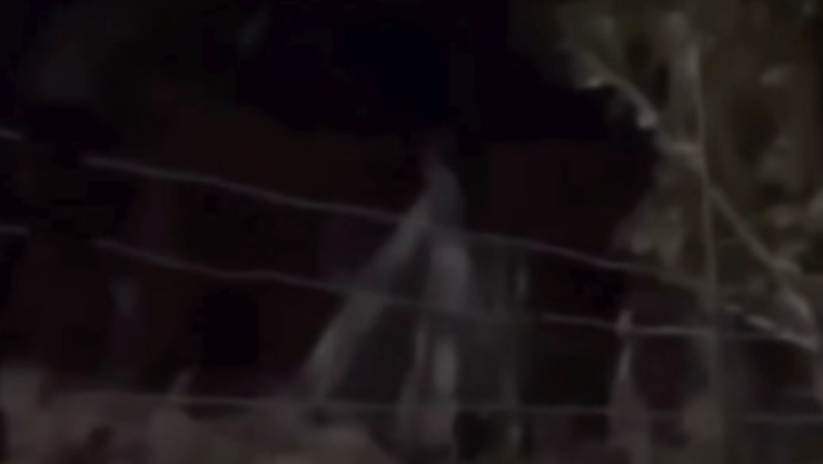 Fantasma
