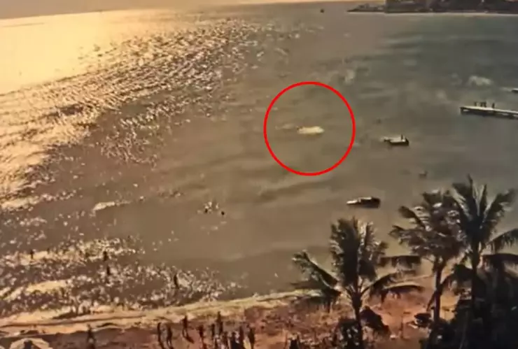 VIDEO Momento en que tiburón mató a turista y peleó con salvavidas