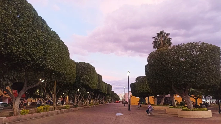 clima en León Guanajuato por horas