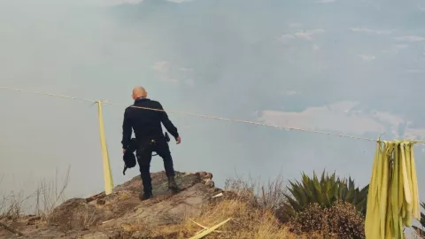 Texto del párrafo - 2025-05-04T123902.884.jpg