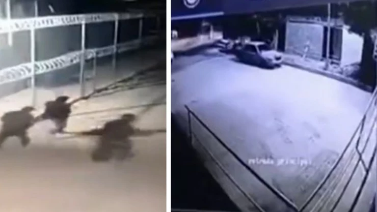 tula fuga nuevas imagenes