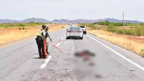 Hombre muere arrollado en la carretera Chihuahua–Ciudad Juárez