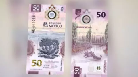 Billete de cincuenta pesos mexicanos del ajolote se vende en casi medio millón