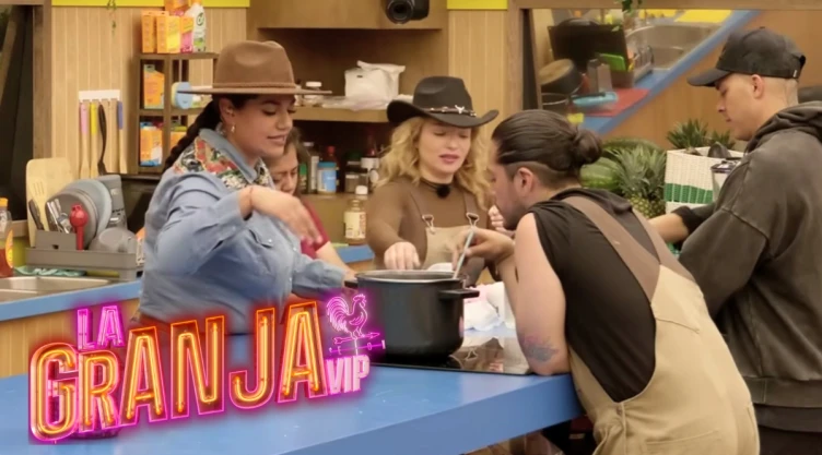pau-plantas.jpg