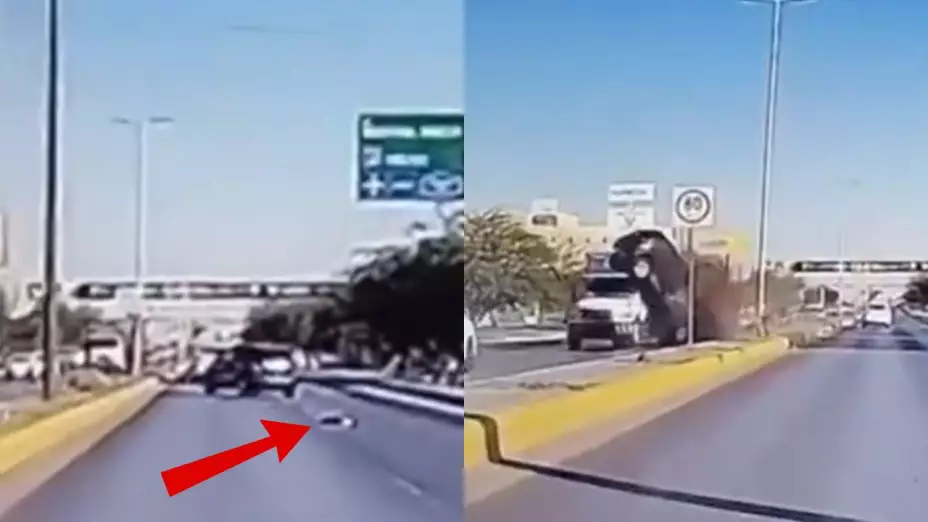 conductor-muere-accidente-perro-periferico-torreon.jpg