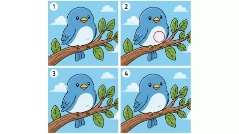 acertijo visual pájaros solución.jpg