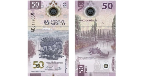 Billete del ajolote con error
