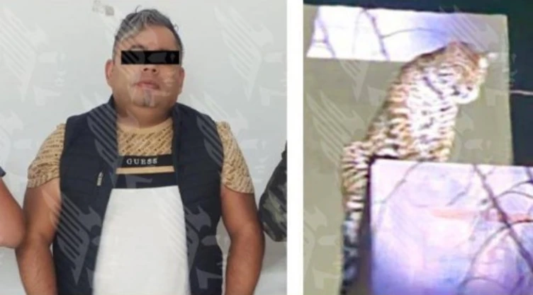 Operativo por presencia de jaguar termina en balacera en Puebla