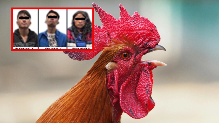 Tres personas fueron detenidas por robo en una casa en Edomex.