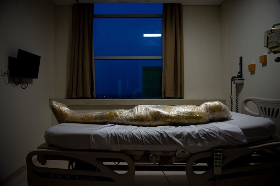 World Press Photo, premio a las mejores fotografías del año.