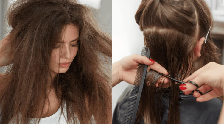 5 cortes de pelo para disimular el cabello seco.png