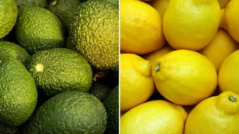 profeco-precio-limon-aguacate-hasta-en-100-pesos-por-kilo-adn-40.jpg