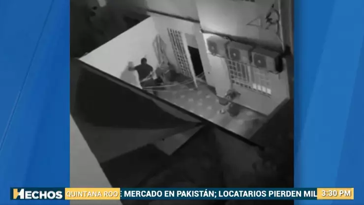 Revelan el supuesto detonante de la agresión a las perritas Bagheera y Muñeca en Solidaridad