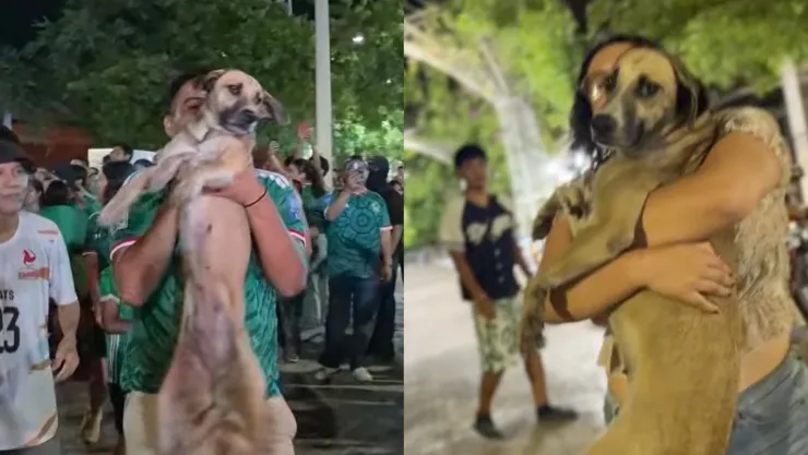 Tras un mes perdida, hallan a perrita durante festejos por el triunfo de México