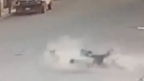 Perros atropellan a dos mujeres