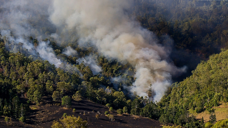 incendios forestales chihuahua.jpg