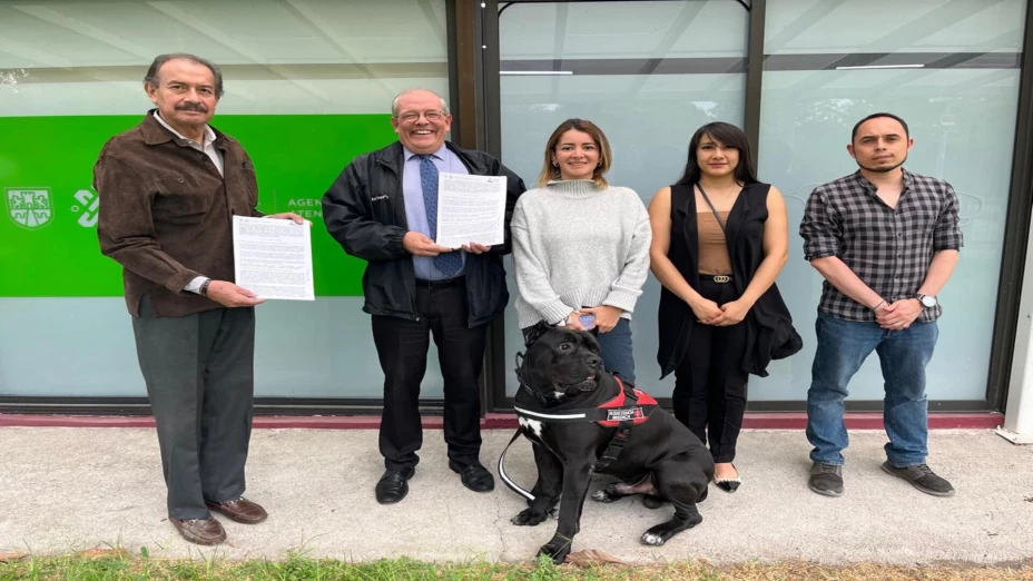 animales de asistencia.jpg