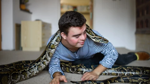 Serpientes en casa durante la temporada de lluvia