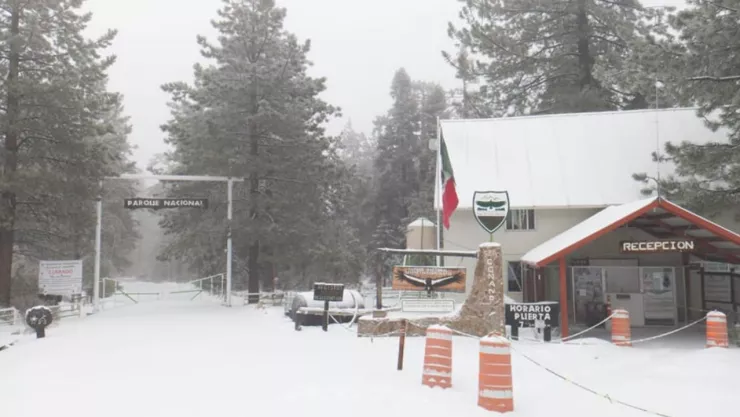 ¿Cuánto cuesta la entrada al Parque Nacional Sierra de San Pedro Mártir en 2025 y qué actividades hacer en la nieve (VIDEO)?