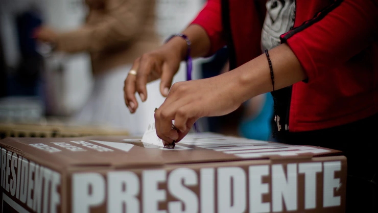 Elecciones 7