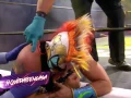 Lucha Fighter