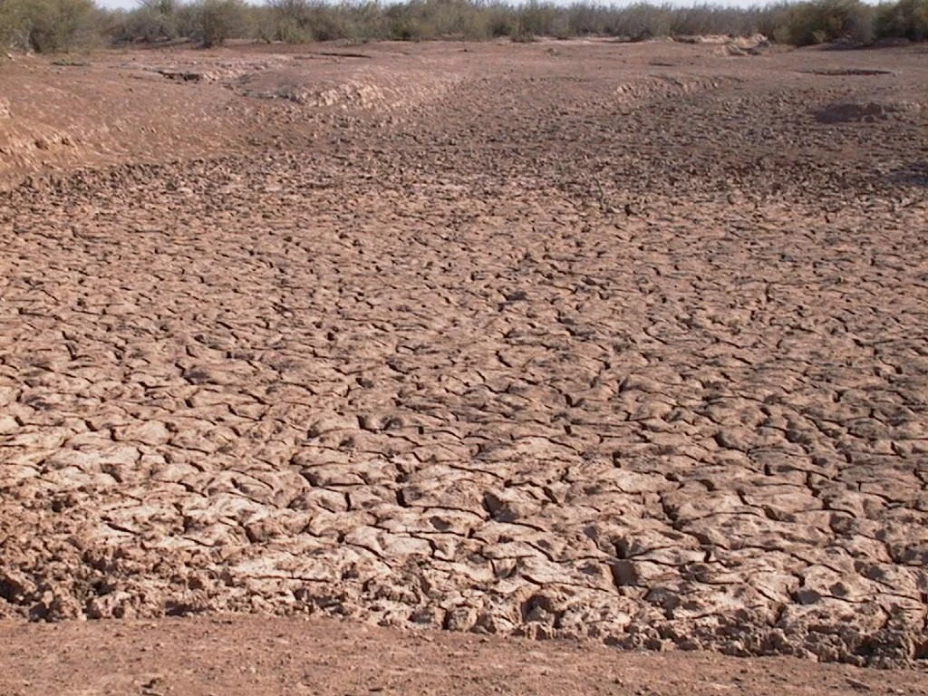 La Comisión Nacional Forestal advirtió sobre el daño de degradación que sufren los suelos mexicanos, especialmente en el norte del país