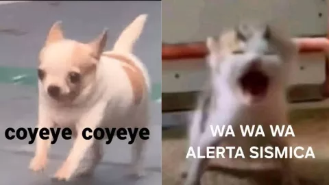 memes del sismo hoy 8 de febrero