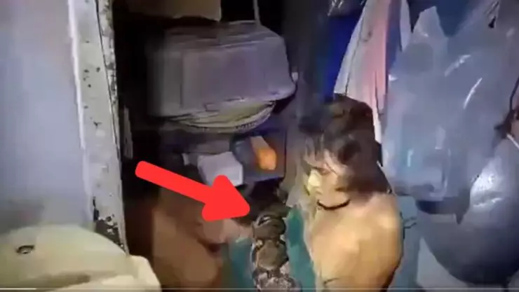 Mujer lucha durante dos horas contra una pitón