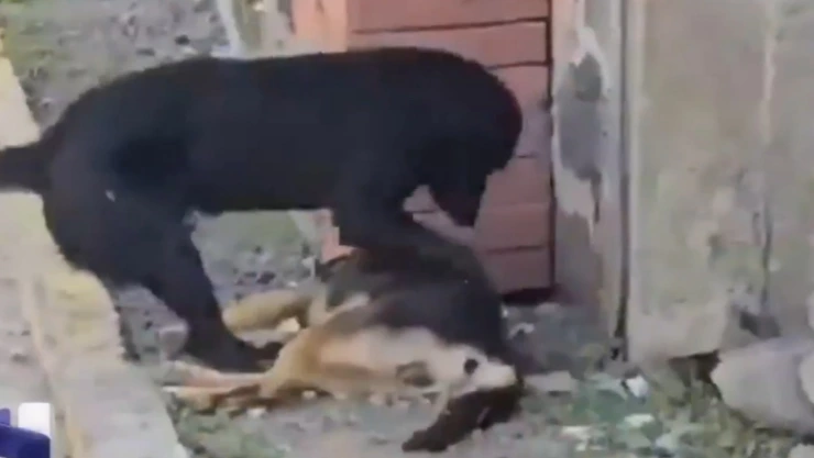 WhatsApp Image 2025-02-13 at 2.23.47 PM.jpeg