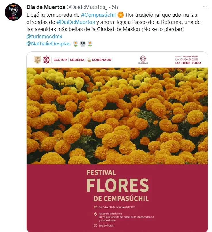 Día de muertos flores de cempasúchil
