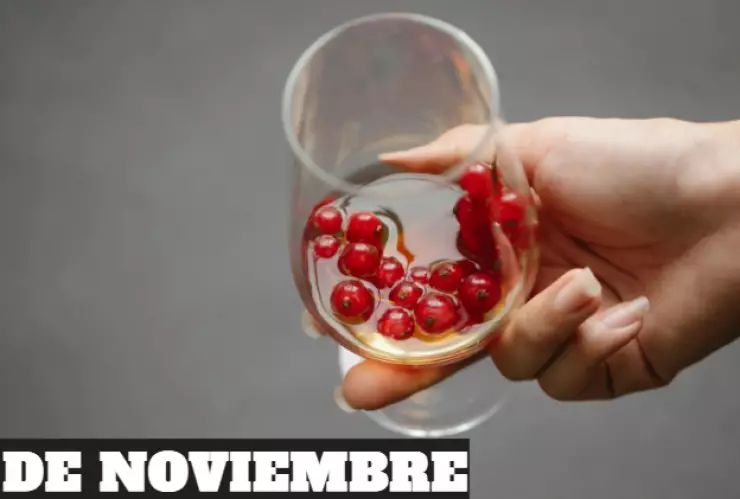 dia-mundial-sin-alcohol-15-noviembre-razon.png
