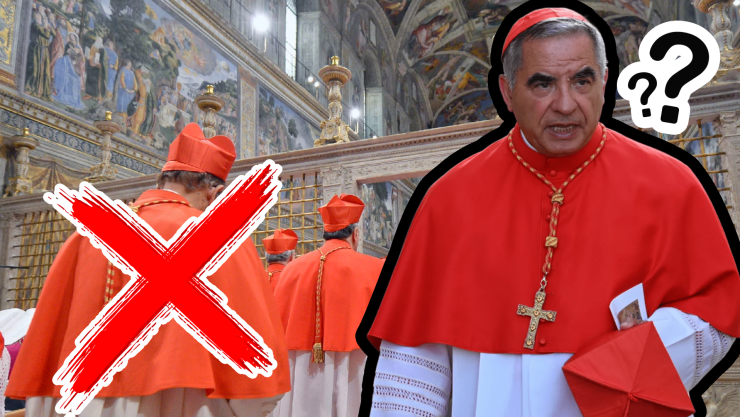 ¿Cardenal ‘rebelde’, frenado por el Vaticano__ No entraría al Cónclave 2025 para elegir sucesor del Papa Francisco.jpg
