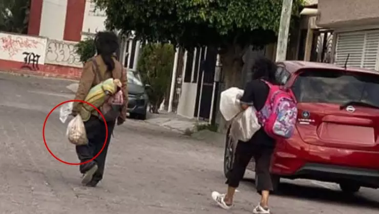 Denuncian a pareja en situación de calle por presunto robo y consumo de perros en Santa Mónica, Querétaro